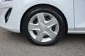 Ford Fiesta Fiesta 3p 1.0 MHEV 125 CV 3 porte Van Trend Bianco - thumbnail 6