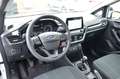 Ford Fiesta Fiesta 3p 1.0 MHEV 125 CV 3 porte Van Trend Bianco - thumbnail 10