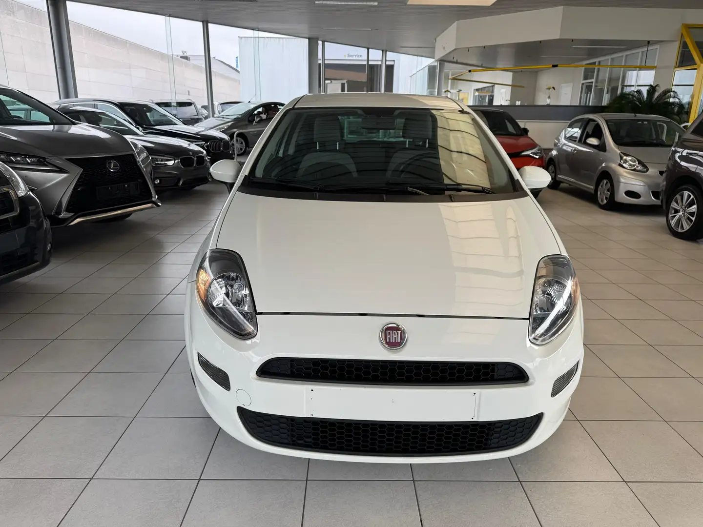 Fiat Punto 1.2I BENZINE 51KW EURO 5 L.EZ O.K ANNÉE 2012 Blanc - 1