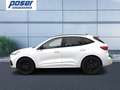 Ford Kuga Plug-In Hybrid ST-Line X KLIMA LED NAVI ALU Blanc - thumbnail 3