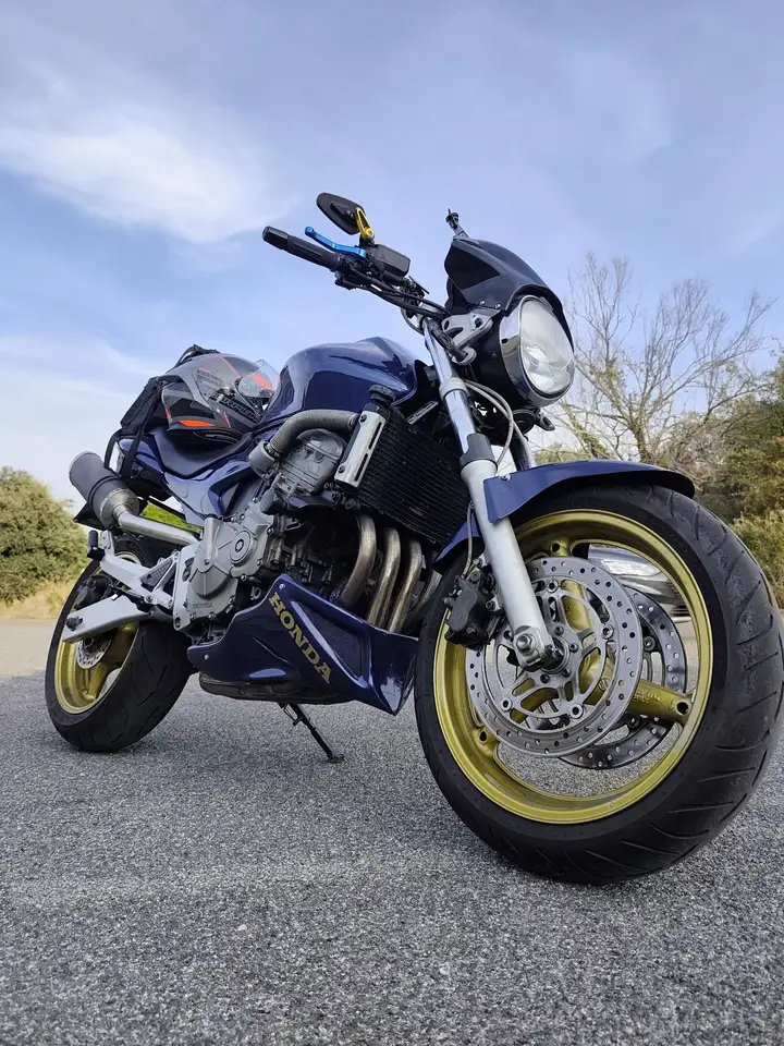 Honda Hornet
