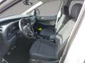 Volkswagen Caddy PanAmericana TDI 4MOTION Weiß - thumbnail 9