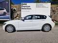 BMW 114 i Weiß - thumbnail 2