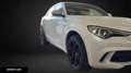 Alfa Romeo Stelvio Stelvio 2.9 bi-t V6 Quadrifoglio Q4 510cv auto Blanc - thumbnail 3