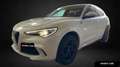 Alfa Romeo Stelvio Stelvio 2.9 bi-t V6 Quadrifoglio Q4 510cv auto Blanc - thumbnail 1