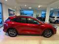 Ford Kuga 1.5 TDCI 120 CV ST-Line 60.000 Km Rouge - thumbnail 3
