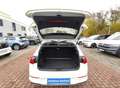 Volkswagen Golf Active 2.0 TDI+115Ps+Standh+PDC+DAB+LED+ Blanc - thumbnail 14