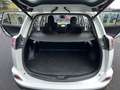 Toyota RAV 4 2.0 L D4D 143 CV 2 WD Dynamic Edition Business Weiß - thumbnail 14