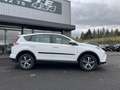 Toyota RAV 4 2.0 L D4D 143 CV 2 WD Dynamic Edition Business Weiß - thumbnail 10