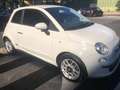 Fiat 500 500 III 1.2 Sport 69cv PREZZO REALE GARANZIA 12M Wit - thumbnail 1