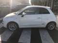 Fiat 500 500 III 1.2 Sport 69cv PREZZO REALE GARANZIA 12M Blanc - thumbnail 4