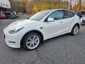 Tesla Model Y Long Range Dual AWD, 1.Hand Weiß - thumbnail 8