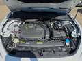 CUPRA Leon 1.5 eTSI Basis Voll-LED CarPlay ACC PDC RFK Bianco - thumbnail 14