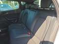 CUPRA Leon 1.5 eTSI Basis Voll-LED CarPlay ACC PDC RFK Bianco - thumbnail 23