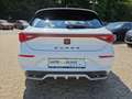 CUPRA Leon 1.5 eTSI Basis Voll-LED CarPlay ACC PDC RFK Bianco - thumbnail 24