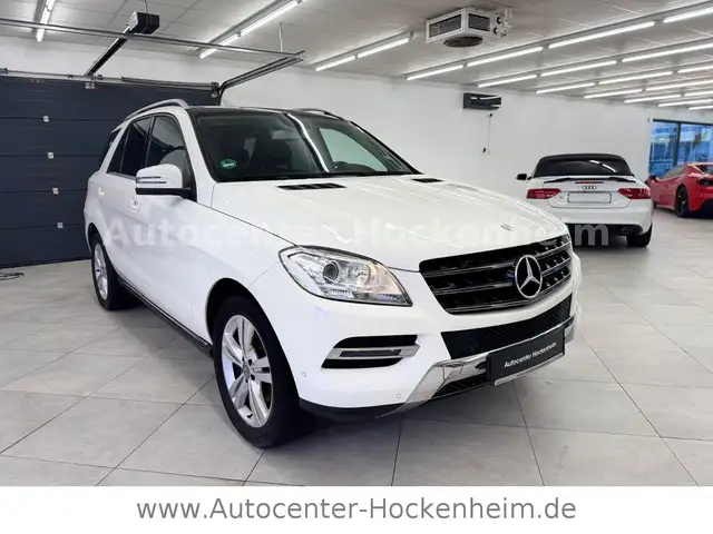 Mercedes-Benz ML 250 ML -Klasse ML 250 CDI BlueTec