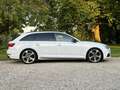 Audi A4 Avant 252PK S-line Black Edition*+Beurt+Remmen* Blanc - thumbnail 20