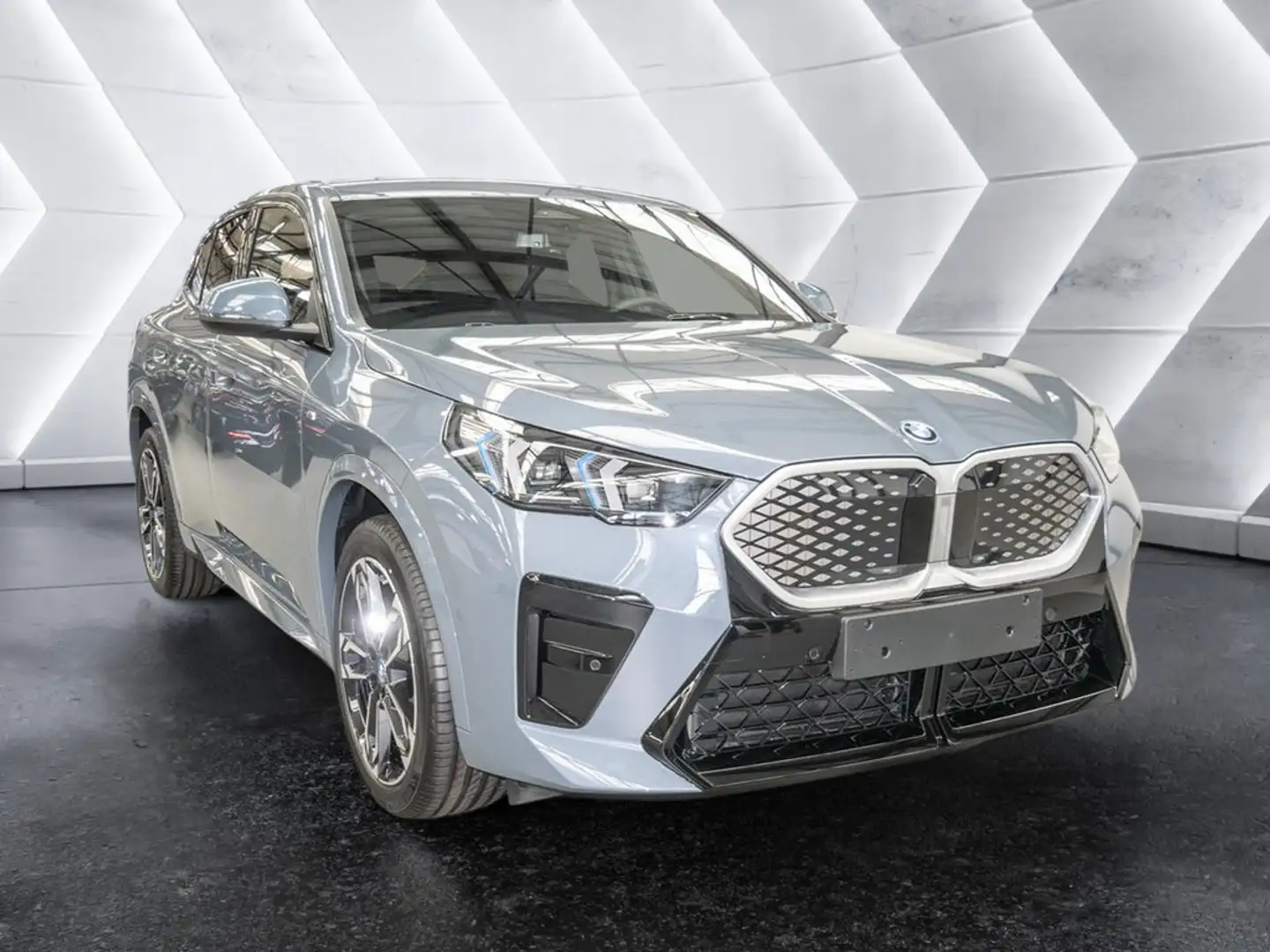 BMW iX2 eDrive 20 M-Sport PDC SHZ KAMERA NAVI LED Gris - 2