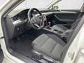 Volkswagen Passat Variant Business TSI, ACC, Keyless, Matrix LED Weiß - thumbnail 6