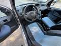 Fiat Panda 1.2 **EURO 4 BENZINA** Grigio - thumbnail 10