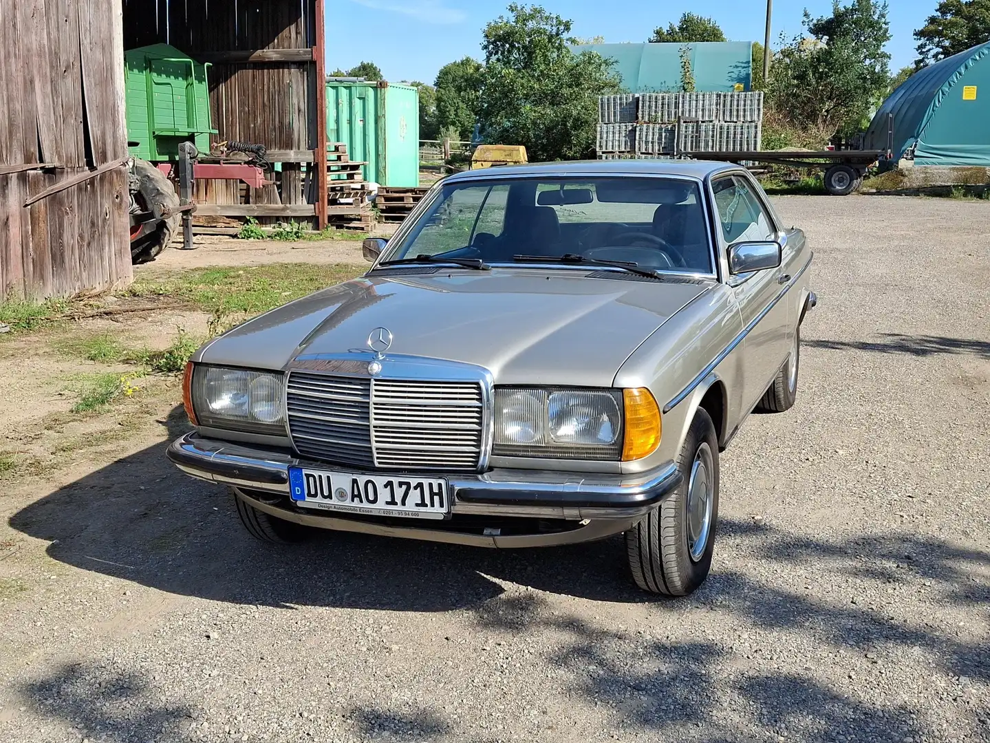 Mercedes-Benz Baureihe 123 Stříbrná - 1