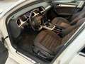Audi A4 Avant 2.0TDI DPF S line ed. Q. 150 Blanco - thumbnail 14