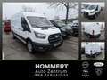 Ford Transit Kasten 350 Trend L3 SHZ*LHZ*CAM*PDC*SYNC4 Blanco - thumbnail 1