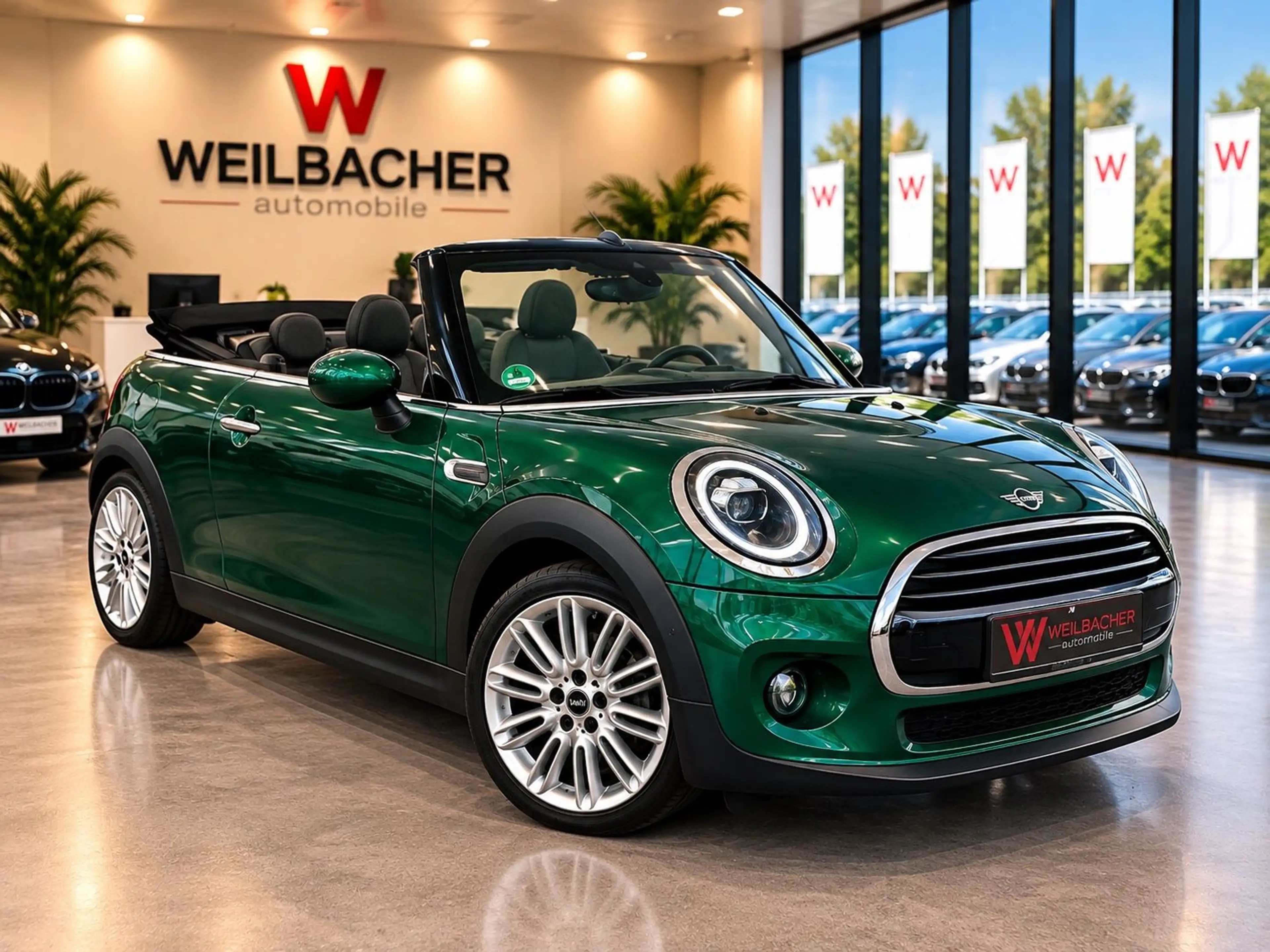 MINI Cooper Cabrio *LED*Leder*Navi*British Green *SH* — photo 2