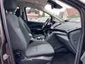 Ford C-Max C-MAX Business Edition Grau - thumbnail 24