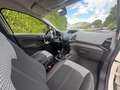 Ford EcoSport 1.5 tdci Plus 95cv E6 - thumbnail 12