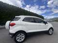 Ford EcoSport 1.5 tdci Plus 95cv E6 - thumbnail 19