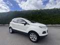 Ford EcoSport 1.5 tdci Plus 95cv E6 - thumbnail 15