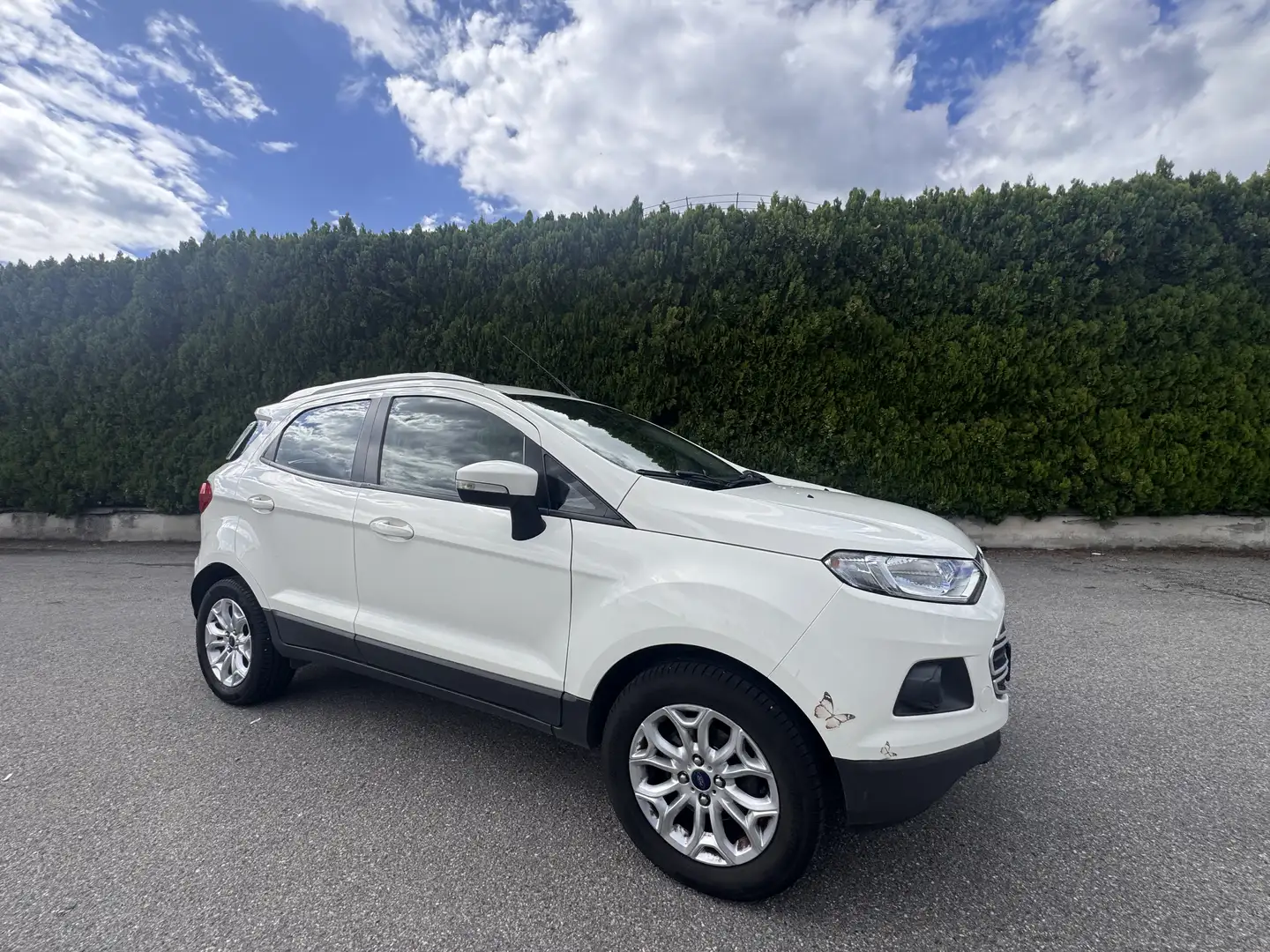 Ford EcoSport 1.5 tdci Plus 95cv E6 - 2
