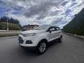 Ford EcoSport 1.5 tdci Plus 95cv E6 - thumbnail 13
