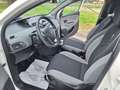 Lancia Ypsilon 1.2 8v Silver PERFETTA Bianco - thumbnail 7