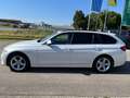 BMW 320 d xDrive Luxury Line Leder AHK LED P.-Dach Weiß - thumbnail 3
