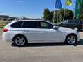 BMW 320 d xDrive Luxury Line Leder AHK LED P.-Dach Weiß - thumbnail 4