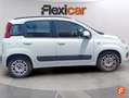 Fiat Panda 1.2 Easy Blanco - thumbnail 3