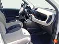 Fiat Panda 1.2 Easy Blanco - thumbnail 11