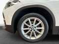 BMW X2 xDrive20d Aut. Advantage, AHK, Sitzheizung, PDC White - thumbnail 8