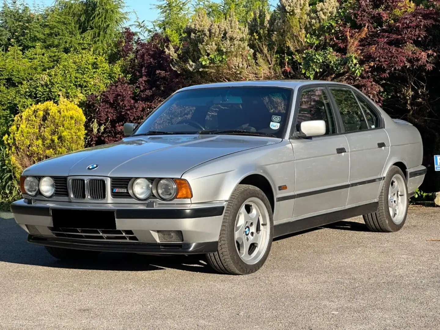 BMW M5 M5 E34 Plateado - 2