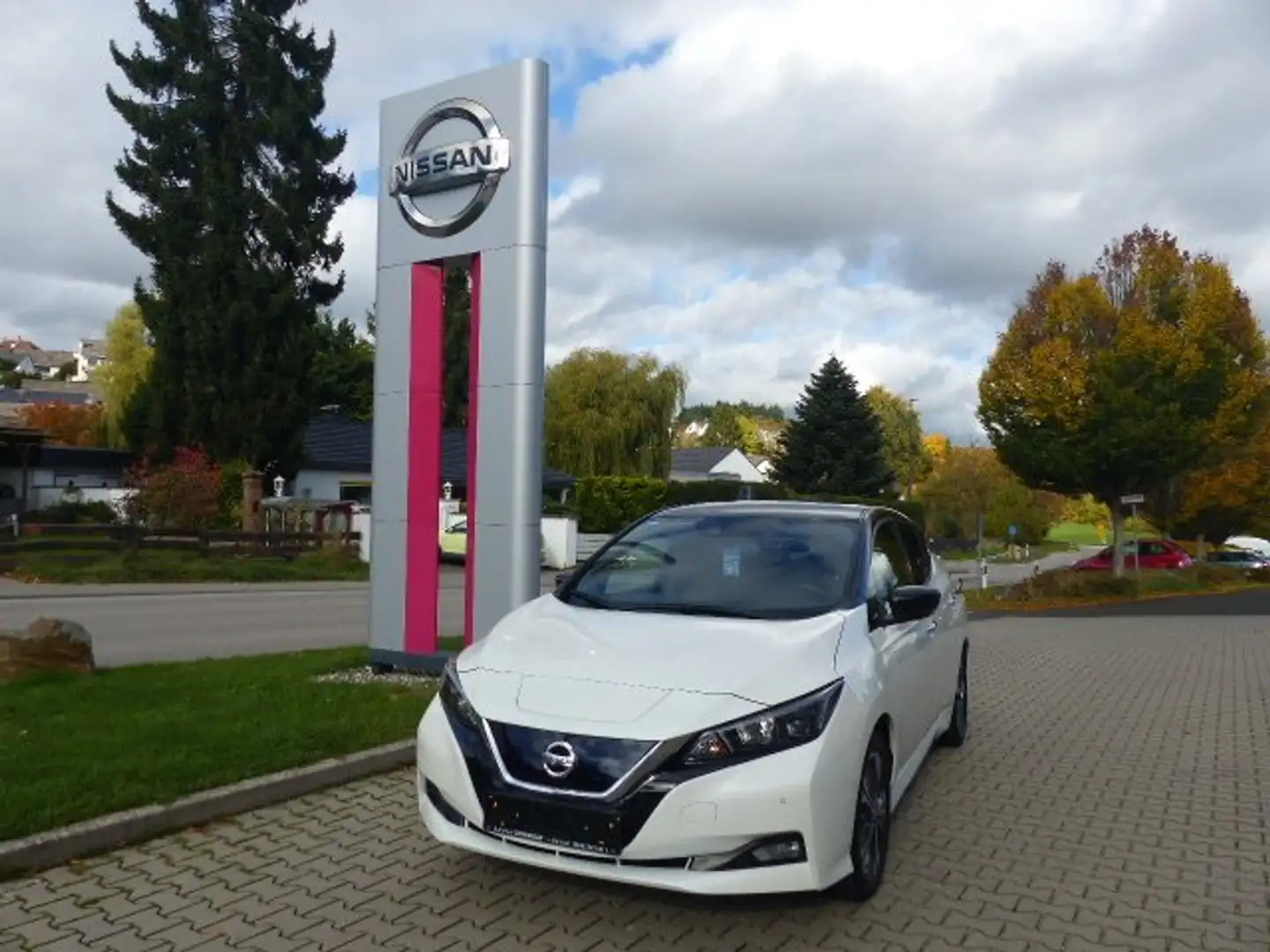 Nissan Leaf Leaf10 Weiß - 1