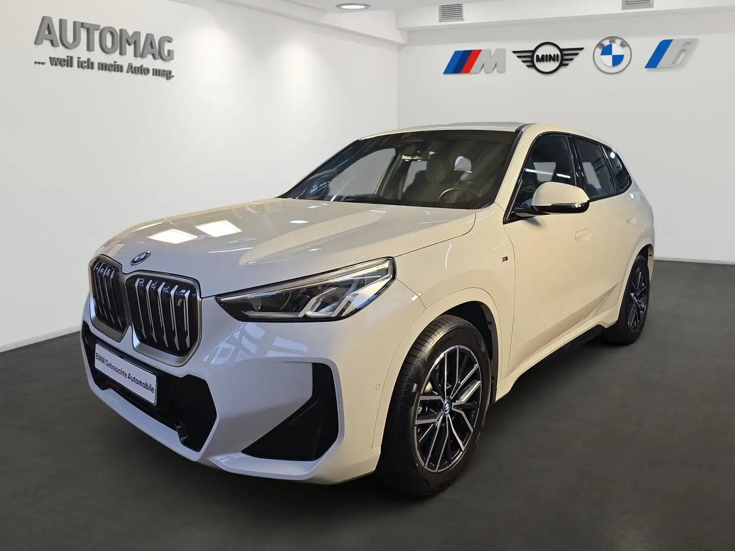 BMW iX 1 xDrive30 M-Sportpaket*Park Assist*18" Weiß - 1