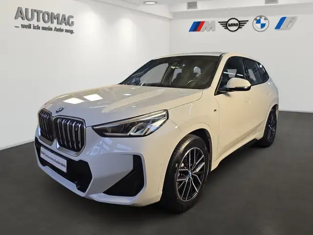 BMW iX 1 xDrive30 M-Sportpaket*Park Assist*18"