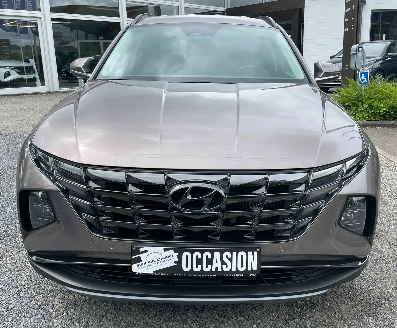 Hyundai TUCSON 1.6 T-GDi MHEV Feel DCT Bronze - 2