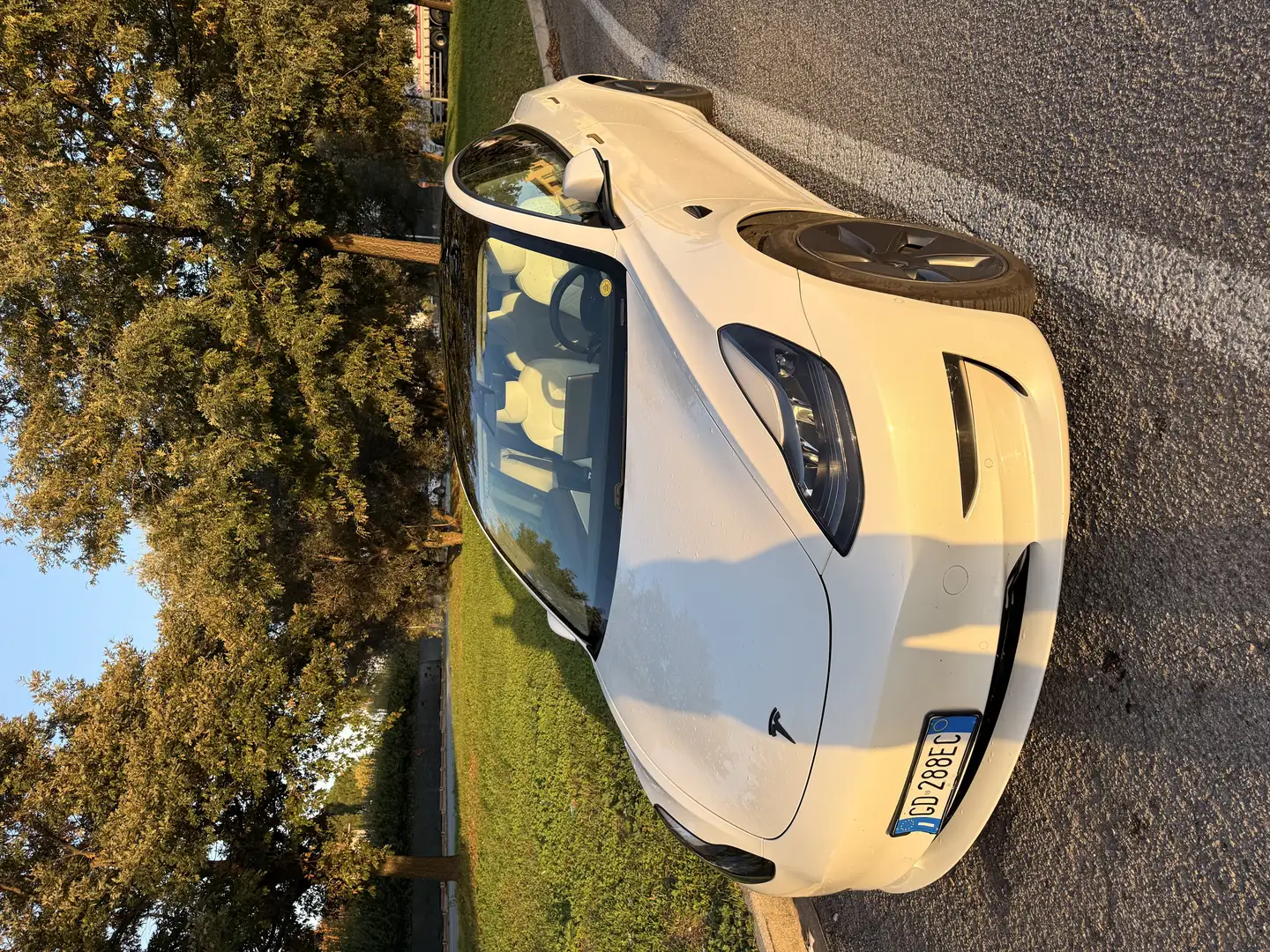 Tesla Model 3 Model 3 Long Range Dual Motor awd - 2