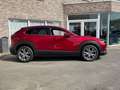 Mazda CX-30 2.0 M-HYBRID / 360 Camera / 62000km / 12m wb Red - thumbnail 7