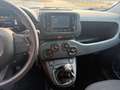 Fiat Panda 1.0 70CV HYBRID GX145HG Rosso - thumbnail 8