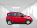 Fiat Panda 1.0 70CV HYBRID GX145HG Rosso - thumbnail 2