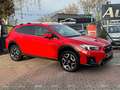 Subaru XV 2.0 Comfort 4x4*Aut*Nav*Kamera*ACC*Carplay Rot - thumbnail 1